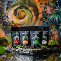 Paquete de Prueba Kratom Premium – KratoSol - Comprar Kratom